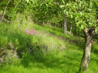 /album/roztoky-pozemek/a7-jpg/