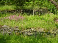 /album/roztoky-pozemek/a8-jpg/