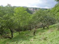 /album/roztoky-pozemek/p1010016-jpg/