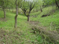 /album/roztoky-pozemek/p1010028-jpg/