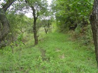 /album/roztoky-pozemek/p1010039-jpg/